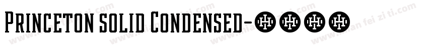 Princeton solid Condensed字体转换